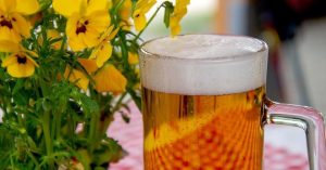 Pivo chrání ledviny, snižuje cholesterol, posiluje kosti a zlepšuje paměť. Toto je 10 důvodů, proč si dopřávat tento zlatavý mok! – Příroda je lék